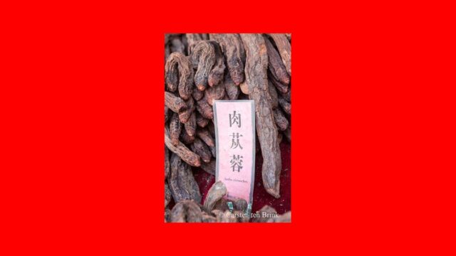 Sample listing photo